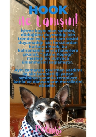 Petjoo 7.Hook Pembe-Mavi Qr'lı Köpek Künyesi