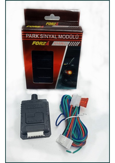 AMERİKAN PARK MODÜLÜ - AYARLI 12V (2 ÇIKIŞLI)