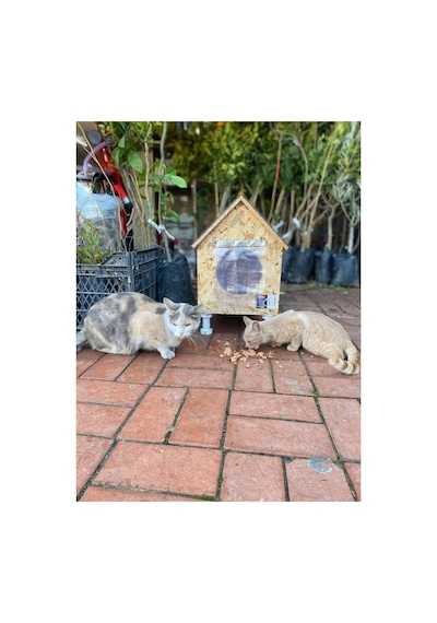 Kedi Evi Kedi Yuvası Kedi Barınağı Su Ve Isı Yalıtımı İç Ve Dış Mekan İçin 33x38x40-video Anlatımlı