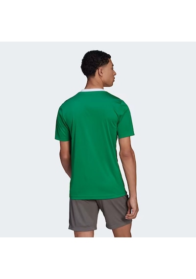 Adidas Teagrn/whıte Ent22 Jsy Null