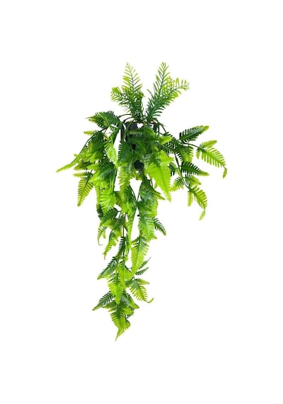 Yapay Çiçek Sarkan Boston Fern Yapraklı Bitki Küçük Siyah Saksıda Yapay Sarmaşık 55cm