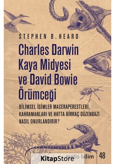 Kitapstore Charles Darwin Kaya Midyesi ve David Bowie Örümceği / Stephen ...