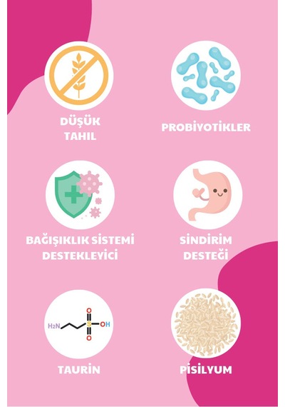 Petline Sterilised Düşük Tahıllı Kısırlaştırılmış Somonlu Yetişkin Kedi Maması 2 x 10 KG