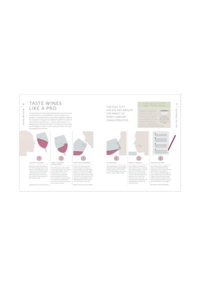 Wine A Tasting Course: From Grape To Glass