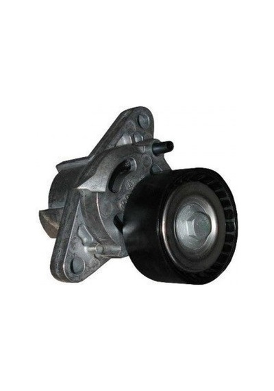 Megane Clio 1.4- 1.6 16 Valf Alternatör Gergisi Komple 820060 B10