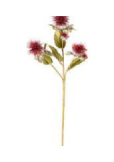 Yapay Bitki Dikenli Bordo 56 Cm. Çok Renkli