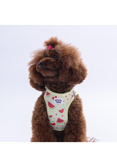 Summer Fresh Göğüs Tasması Ve Sevk Kayışı Tasma Seti Karpuzlu Kedi Köpek Göğüs Tasması Seti Yeşil