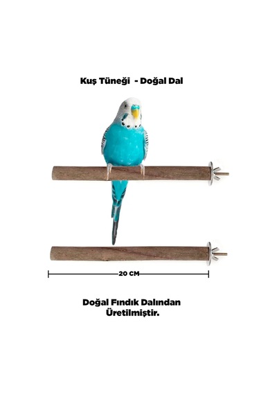 Doğal Ahşap Kuş Tüneği 20 Cm - Gerçek Fındık Dalı