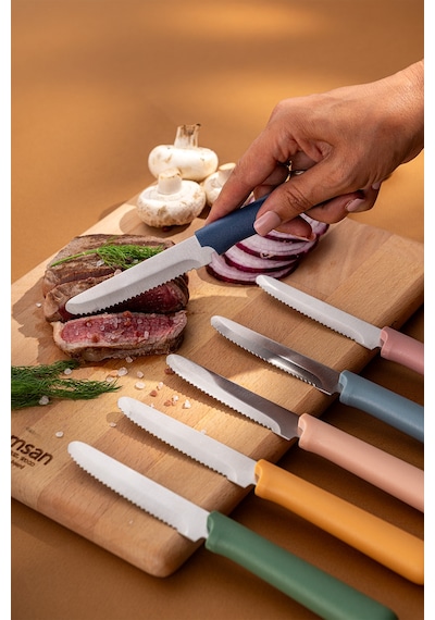 Emsan Rustik 6'lı Steak Bıçak Seti Renkli