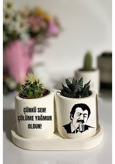 Tabaklı Müslüm Baba Baskılı Mini Saksı Seti Hediyelik Dekoratif