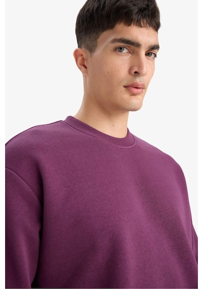 Defacto Relax Fit Bisiklet Yaka Kalın İçi Yumuşak Tüylü Basic Düz Sweatshirt T5139az25aupr79 Mor