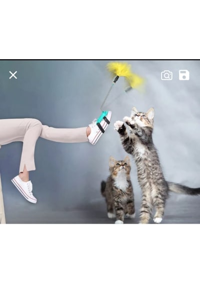 Tineke Yaylı Kedi Ayak Oyun Oltası
