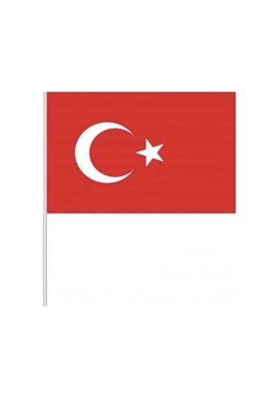 Türk Bayrağı Al Yıldızlı Çıtalı Sopalı Baskılı Bayrak 10 Adet Diğer
