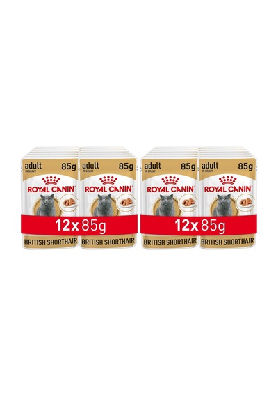 Royal Canin British Shorthair Konserve 85 Gr X 12 Adet 2 Paketi