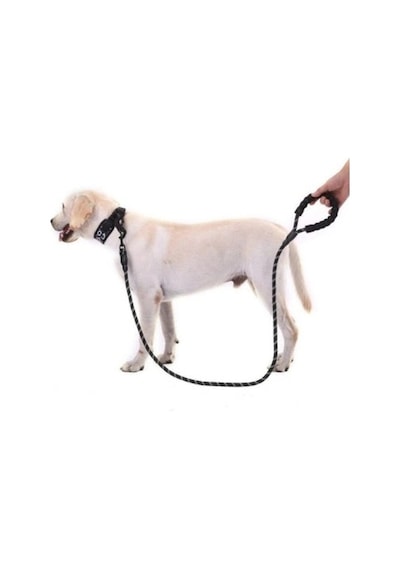 Dodes Reflektörlü Köpek Tasması 130 Cm.