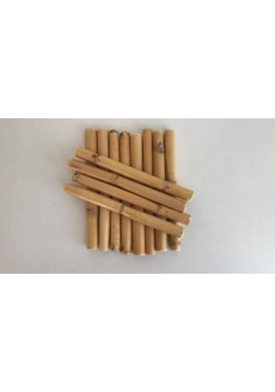 Bambu 10 Cm 12 'li Paket
