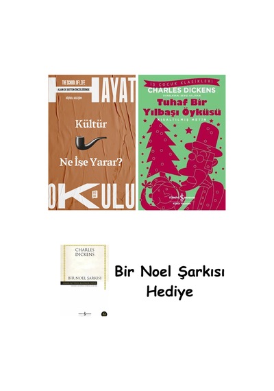 Hayat Okulu - Kültür Ne İşe Yarar + Tuhaf Bir Yılbaşı Öyküsü + Bir Noel Şarkısı