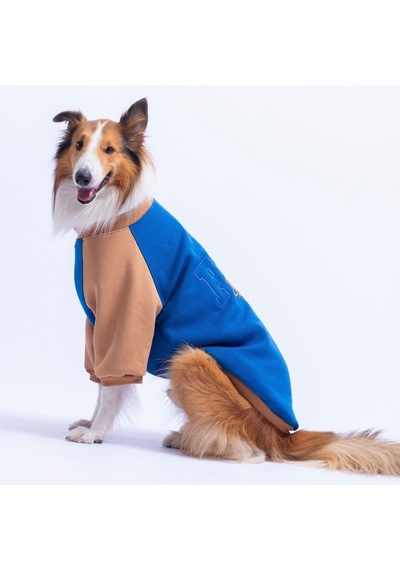 Saks Mavi Boston Pawstar Sweat Orta-büyük Irk Köpek Sweatshirt Köpek Sweat Köpek Kıyafeti Saks Mavi Boston Pawstar Sweat Orta-büyük Irk Köpek Sweatshirt Köpek Sweat Köpek Kıyafeti