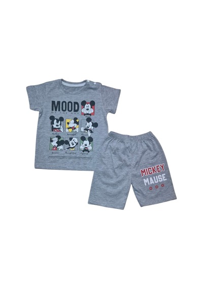 Micky Şort T-shirt Bebek Çocuk Yazlık Takım Gri