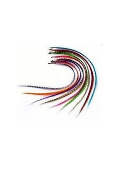 Hair Feather Saç Tüyü - Asorti Diğer