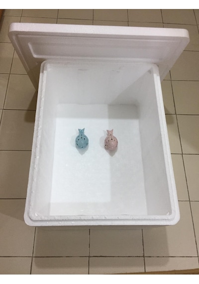 20 Kg Eps Strafor Köpük Termos Gıda Taşıma Kutusu