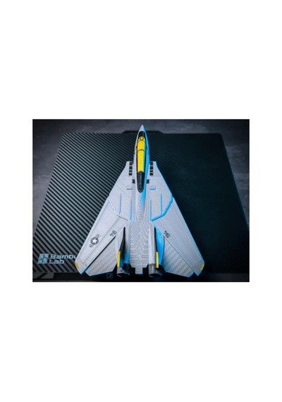 F-14 Tomcat Uçak Maket Kit Card