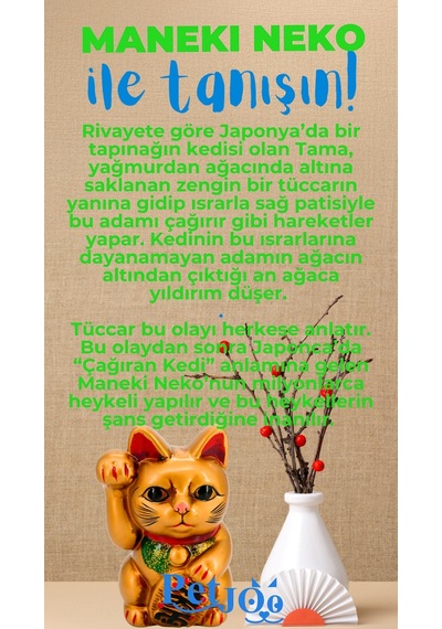 Petjoo 4.Maneki Neko Mavi-Yeşil Qr'lı Kedi Künyesi