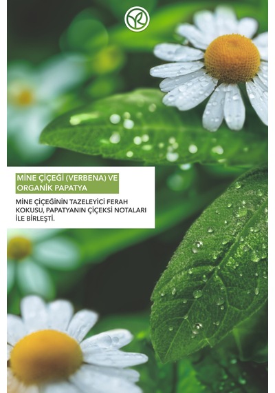 Yves Rocher El Kremi- Nemlendirici Besleyici Tazeleyici Mine Çiçeği Papatya- Vegan 30 Ml