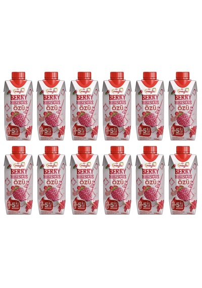 Meysu Berry Hıbıscus Özü 330 Ml X 12 Adet