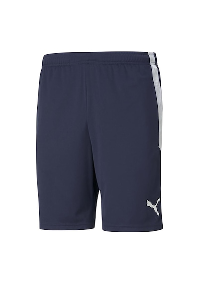 Puma Teamliga Training Shorts Erkek Futbol Maç Şortu 65724906 La