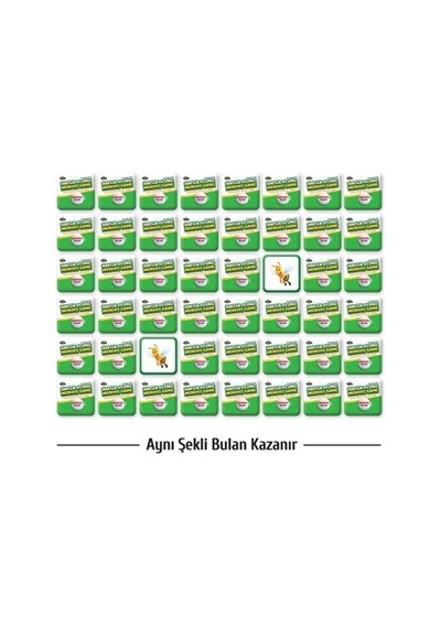 Moli Hafıza Oyunu Hayvanlar Serisi – Memory Game
