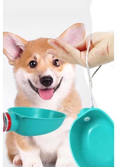 Yeni Nesil Pratik Kedi Köpek Evcil Hayvan Şişeye Takılabilen Su Aparatı Suluk Başlığı