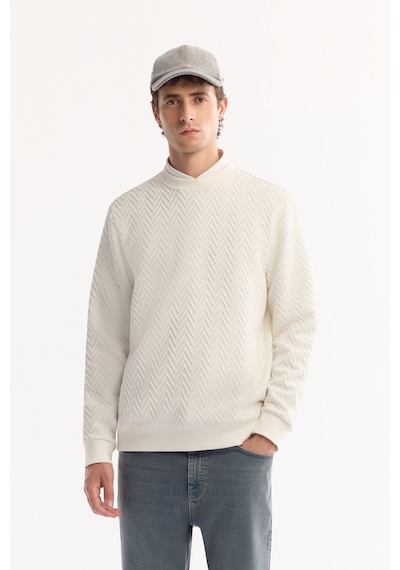 Avva Erkek Ekru Bisiklet Yaka Dokulu Elastan Regular Fit Sweatshirt A52y1216