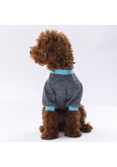 Pawstar Füme Shine Kedi Köpek Sweati Kıyafeti