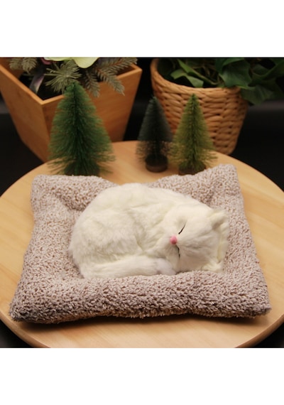 Minderde Uyuyan Sesli Peluş Kedi Cat Büyük Boy 22cmx25cm - Beyaz Kedi