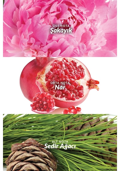 Eve Truth Kadın Parfüm Ve Vücut Losyounu Paketi Çiçek