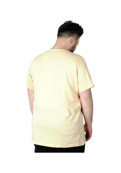Mode Xl Büyük Beden T-Shirt Baskılı Renovate 22157 Bej 001