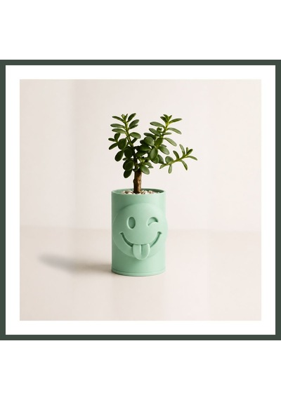 Bezos 3d Baskı Emoji Planter - Göz Kırpan Yüzlü Sukulent Saksısı-mint Nhr Standart