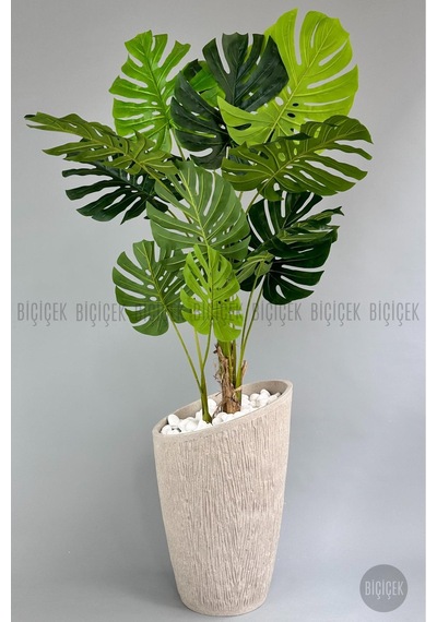 Yapay Monstera Ağacı Deve Tabani 190 Cm Krem Datça Saksıda