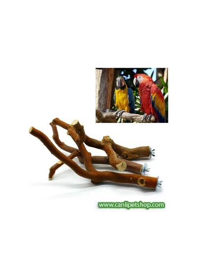 Canlipetshop Akvaryum Dogal Dal Tünek Kızıl Renk Çatal Şekilli 25-30 cm