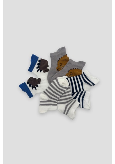 Defne Baby Erkek Bebek Ve Çocuk Karışık Desenli Premium Pamuklu Patik Çorap Seti Çok Renkli