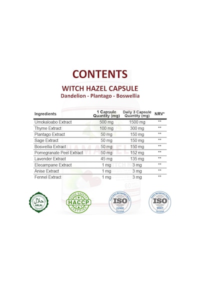 Gökçek Şifa 1000 MG Hamamelis (Witch Hazel Capsule) 60 Kapsül