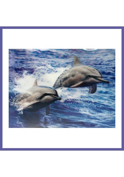 Bezos 3 Boyutlu Resim Sevimli Yunuslar İkili Yunus Resmi Tablosu 30x40 Cm Nıda