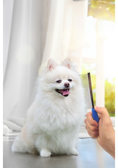 Kıtık Açıçı Kedi Köpek Tarağı Metal