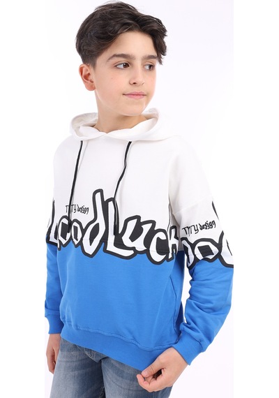 Toontoy Kids Toontoy Erkek Çocuk Baskılı Sweatshirt Saks