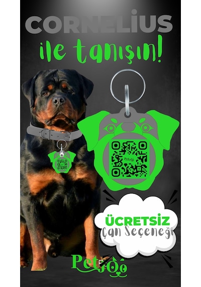 Petjoo 20.Cornelius Yeşil-Gri Qr'lı Köpek Künyesi