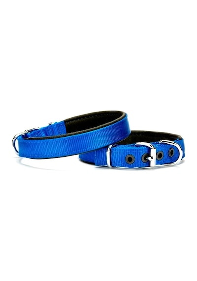 Softlu Köpek Boyun Tasması 1,5 Cm X 35 Cm Mavi - Cole-296187 Çok Renkli