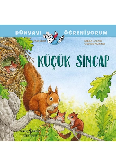 Küçük Sincap Dünyayı Öğreniyorum