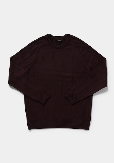 Colin's Colins Regular Fit Yuvarlak Yaka Jakarlı Erkek Mor Kazak Cl1083277 Q1.v2 Plm