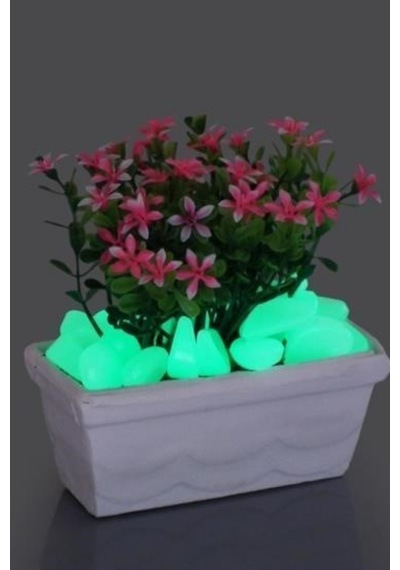 150 Adet Fosforlu Karanlıkta Işık Vererek Parlayan Dekoratif Çakıl Taşı Akvaryum Taşı 1-2 Cm - 916197295 10 X 100
